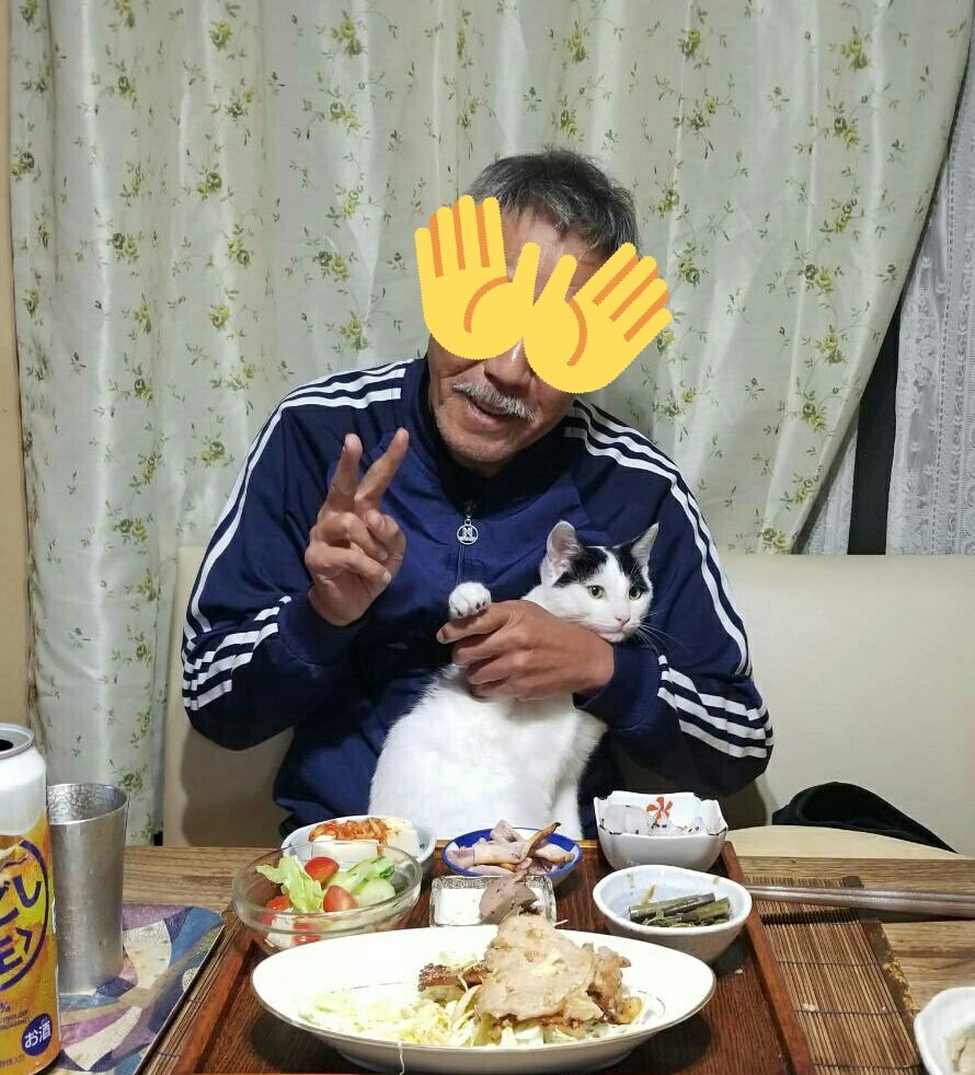 約1ヶ月前 猫を飼うことに猛反対していた父の現在の姿がこちら 当然の結果というか Togetter 約1ヶ月前 猫を飼うことに猛反対していた父の現在の姿がこちら 当然の結果というか Togetter