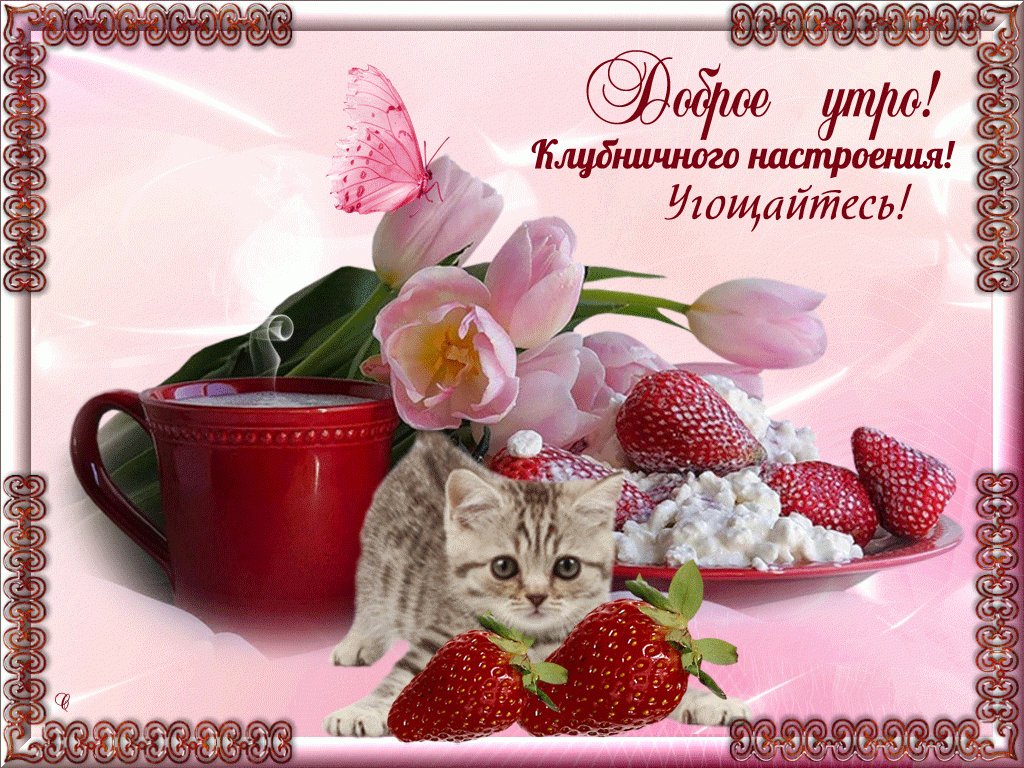 Открытки пожелания доброго утра и хорошего дня женщине