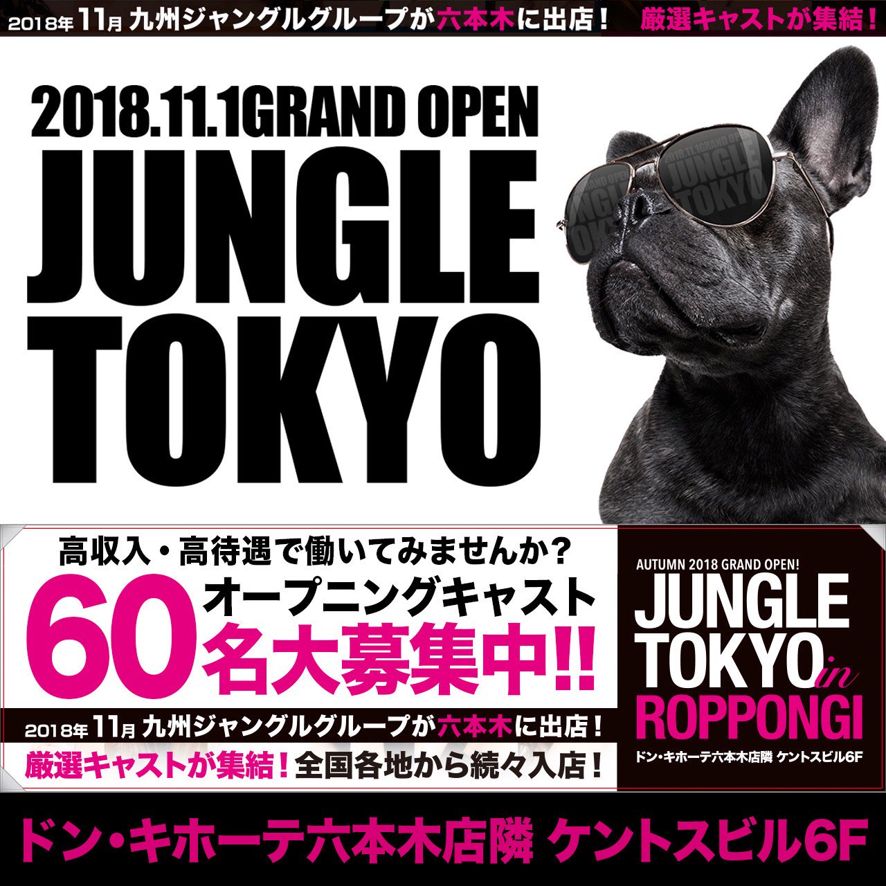 Jungle Tokyo 速報 11 1 木 ドン キホーテ六本木店隣ケントスビル6fにてグランドオープン キャスト大募集中です 詳細はこちら T Co Hacp9m0cg8 ジャングル 東京 六本木 渋谷 歌舞伎町 銀座 ミナミ 北新地 熊本 キャバクラ キャバ
