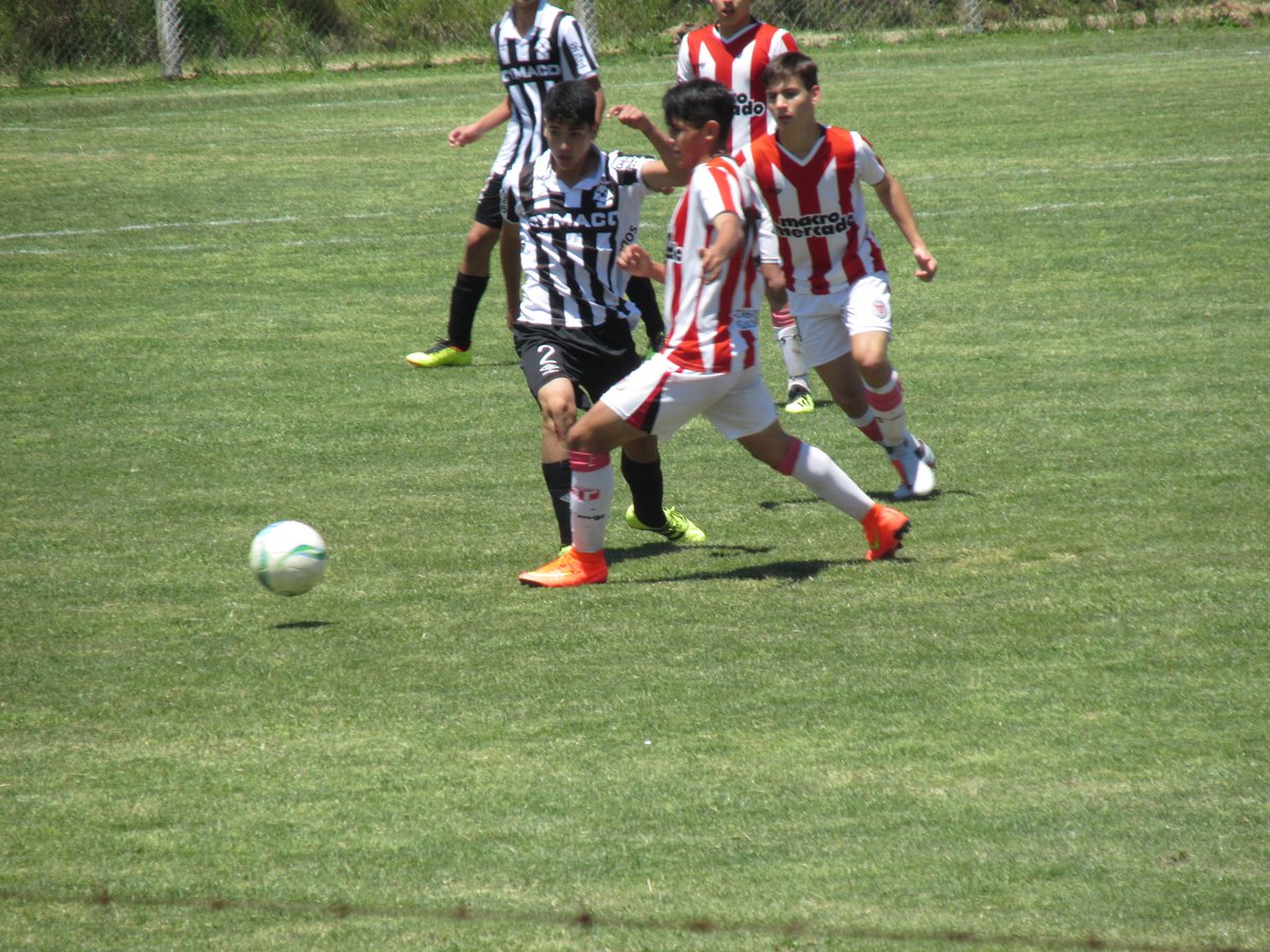 Elizabeth scala (@elizabe06751641) on Twitter photo 