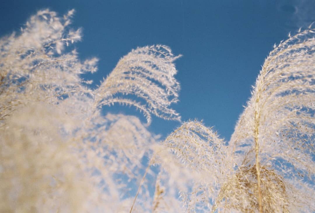 CrossGenePH's tweet image. [IG/TRANS] 181105 cg_seyoung Instagram Update - #SEYOUNG

#FirstWork#3

•••

#첫작품#3

instagram.com/p/BpzKlxmBaGJ/…

#CrossGenePhilippines #SeyoungPH #CROSSGENE