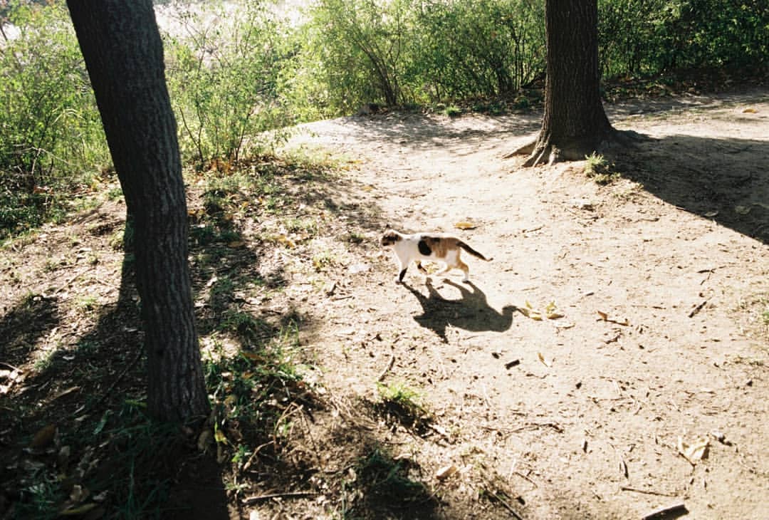 CrossGenePH's tweet image. [IG/TRANS] 181105 cg_seyoung Instagram Update - #SEYOUNG

#FirstWork#3

•••

#첫작품#3

instagram.com/p/BpzKlxmBaGJ/…

#CrossGenePhilippines #SeyoungPH #CROSSGENE