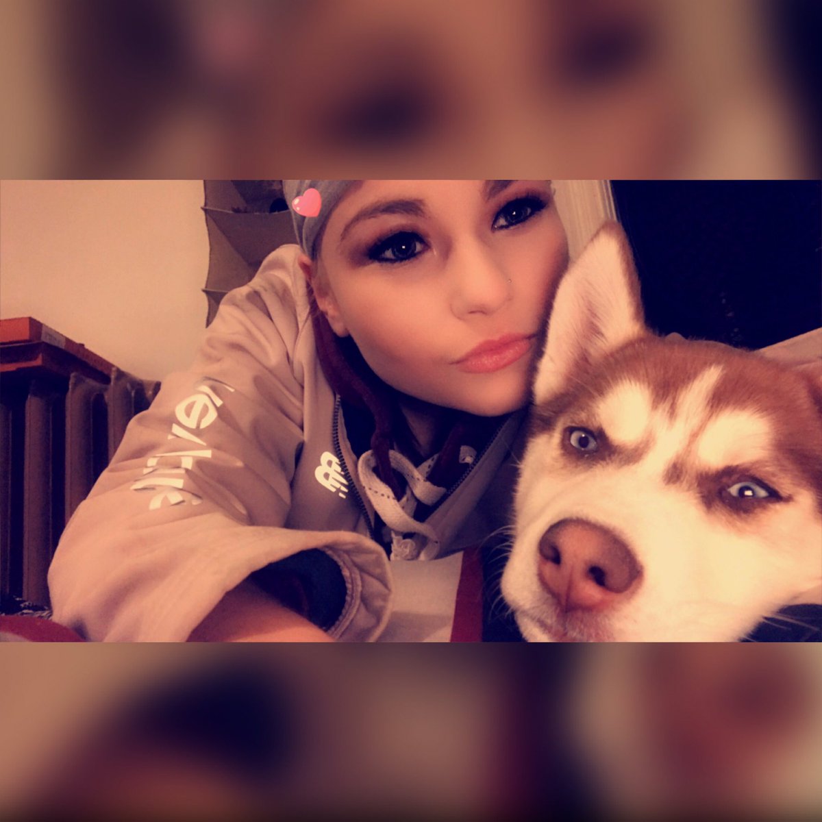 britney_iser's tweet photo. Haven’t tweeted in awhile, take a look at my beautiful husky family. Kilo &amp; nova both 11 weeks old. Can’t wait to see you guys grow up and have your own puppy family. This is my family right here.💙💓 https://t.co/cn0F9564gv