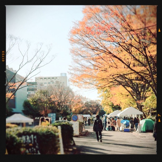 埼玉大学 むつめ祭公式 Mutsume Fes 18年11月 Twilog 埼玉大学 むつめ祭公式 Mutsume Fes 18年11月 Twilog