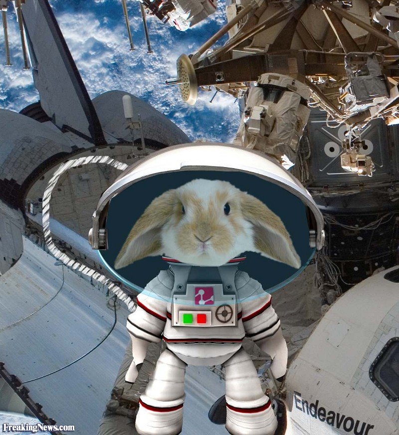 suediamond11's tweet photo. 🔴 #Vote 🔴
🔴 #MAGA 🔴
🔴 #VoteRed 🔴
🔵 #WalkAway 🔴
🔵 #VoteTuesday 🔴
🔴 #VoteForBoykin 🔴
🔵 #Midterms2018 🔴
🔴 #VoteRedToSaveAmerica 🔴
BUNS for SpaceForce! https://t.co/oy7Oj8H98Q