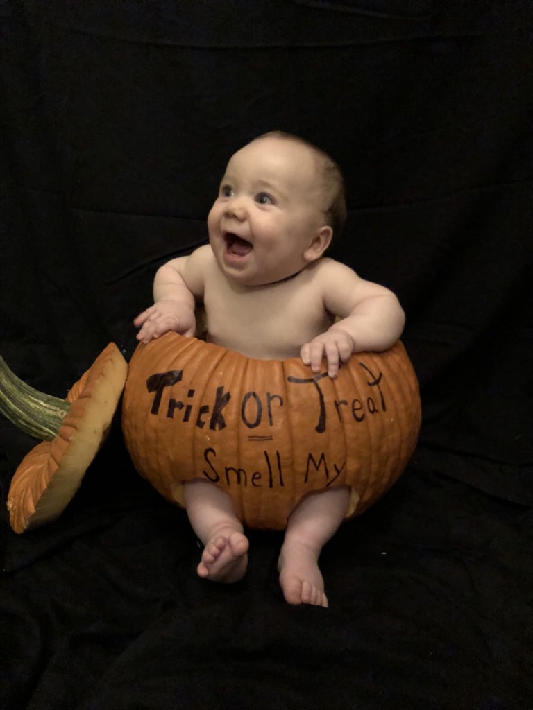 kaylashepley's tweet photo. Cutiest pumpkin in the patch 💙🎃 https://t.co/OJ80AwZALo