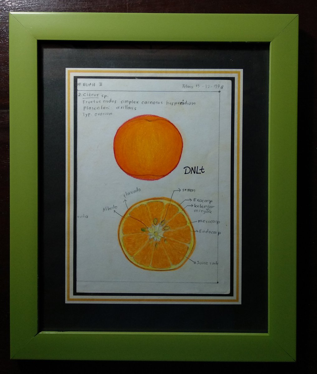 K4hur1ph1rup4n's tweet image. Dibuang sayang (sambungan)...

Sketsa praktikum kuliah Struktur Tumbuhan di Jurusan Biologi UI

#KetauanDehAngkatanTuwir #Biologi #FMIPAUI