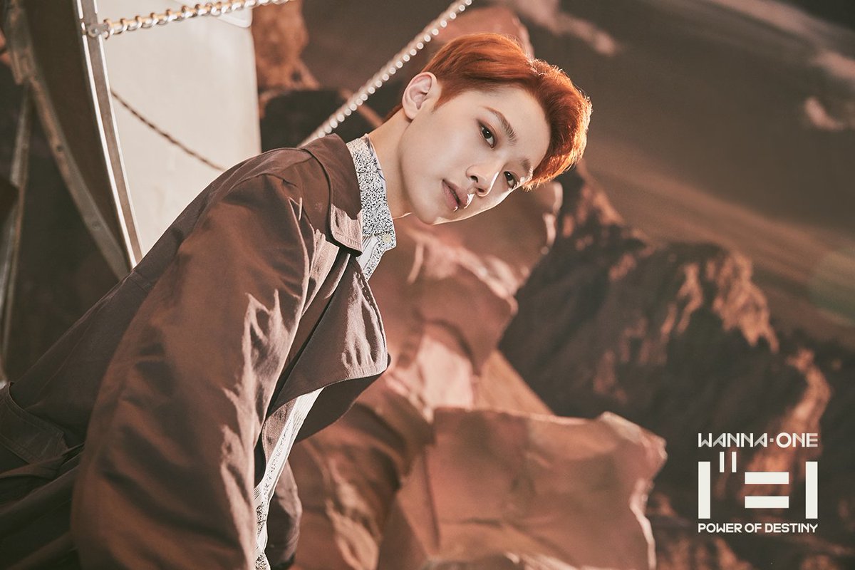 WannaOne_twt's tweet photo. Wanna One l Album Photo ‘Adventure Ver.’ #라이관린

워너원 첫 번째 정규앨범
Wanna One “1¹¹=1(POWER OF DESTINY)”
TITLE TRACK '봄바람'

2018.11.19 6PM Release

#WannaOne #워너원 #라이관린 #LaiKuanLin #20181119 #POWEROFDESTINY #봄바람 https://t.co/sCJYD52H9f