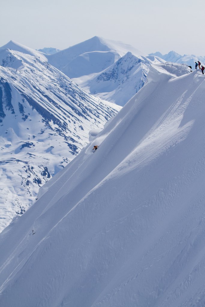 AK_Rendezvous's tweet photo. Monday's in the mountains aren't so bad. |p| @blizzimages #skiing #heliskiing #thisisalaska https://t.co/mgGGTopPv0