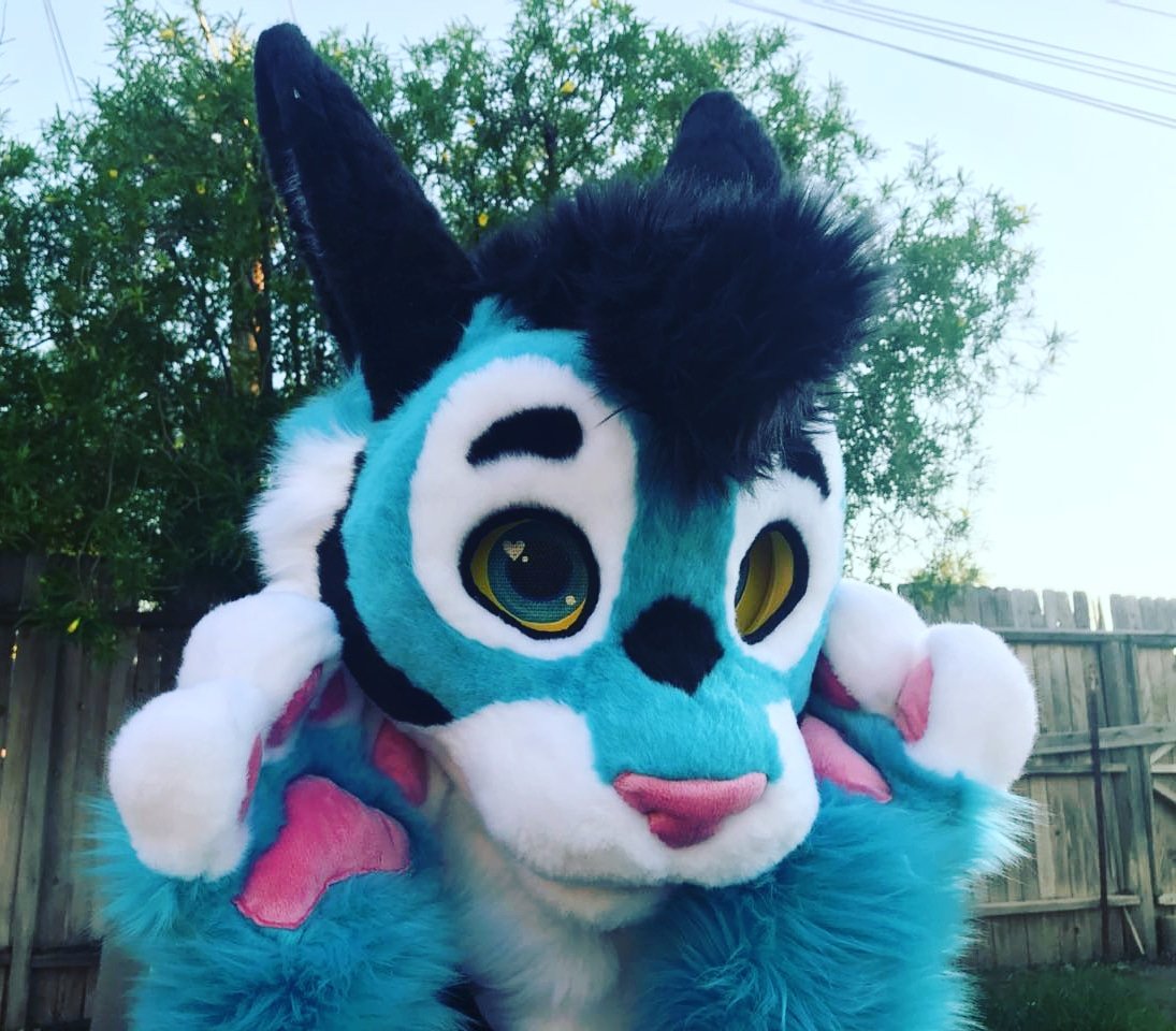 Furever Studios on Twitter: 