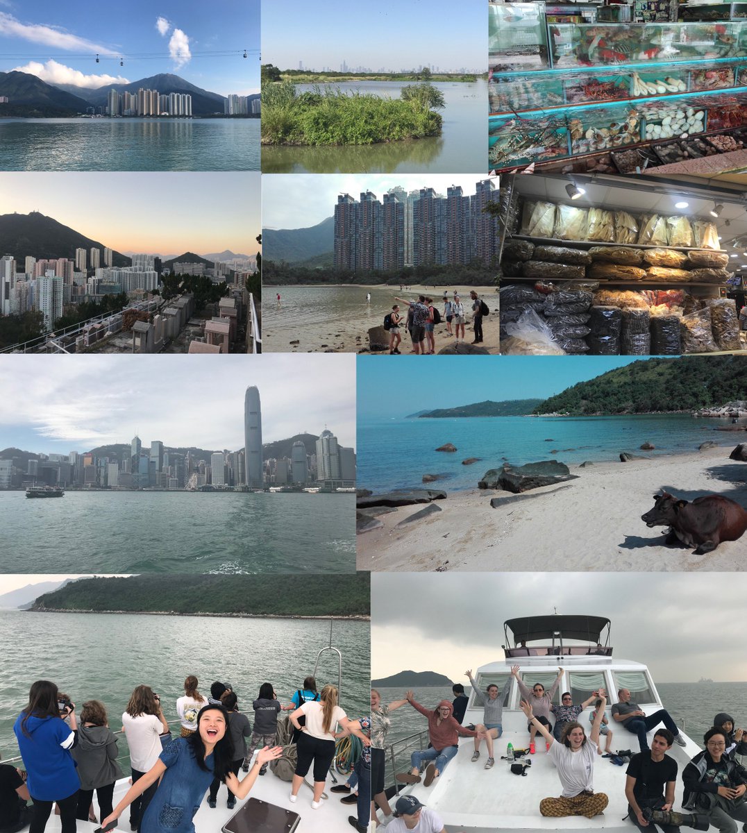 Martin Stevens (@sensoryecology) on Twitter photo In no time #fieldHongKong is over for another year- place of beauty, contrast & challenges for nature. Great students, amazing HK help from many & awesome team <a href="/TomCurrieEvo/">Tom Currie</a> <a href="/JuliaCHaywood/">Julia Haywood</a> <a href="/VLee37/">Victoria Lee</a> <a href="/clairesjcollins/">Claire Collins</a> <a href="/UoEFieldHK/">Hong Kong Field Course</a> @UoExeterCEC @ExeterMarine @StuBearhop @BrendanGodley In no time #fieldHongKong is over for another year- place of beauty, contrast & challenges for nature. Great students, amazing HK help from many & awesome team <a href="/TomCurrieEvo/">Tom Currie</a> <a href="/JuliaCHaywood/">Julia Haywood</a> <a href="/VLee37/">Victoria Lee</a> <a href="/clairesjcollins/">Claire Collins</a> <a href="/UoEFieldHK/">Hong Kong Field Course</a> @UoExeterCEC @ExeterMarine @StuBearhop @BrendanGodley