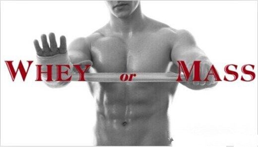 Elena39233213's tweet image. How to choose whey protein powder and Massive gainer?
apiproducer.com/how-to-choose-…
#Training #TrainingBlog #BODYPAINT