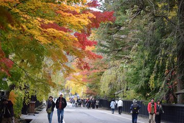 角館の紅葉の21年見頃時期やライトアップは アクセスや駐車場は そらいろ 日本が魅せる多彩な表情