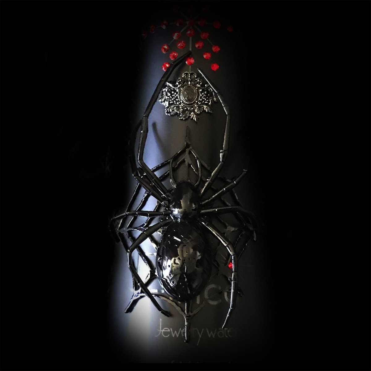 Fillico フィリコ 夜に染まる蜘蛛は 幻想的な美しさを放つ T Co Zdtmtzltbu