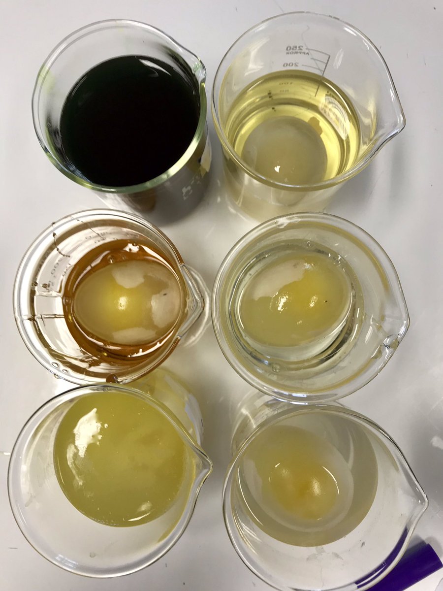 steppescience's tweet image. Grade 9 Ss using de-shelled eggs to initiate their inquiry into osmosis using the #MYPscience concepts of Systems and Transformation #ISUmng