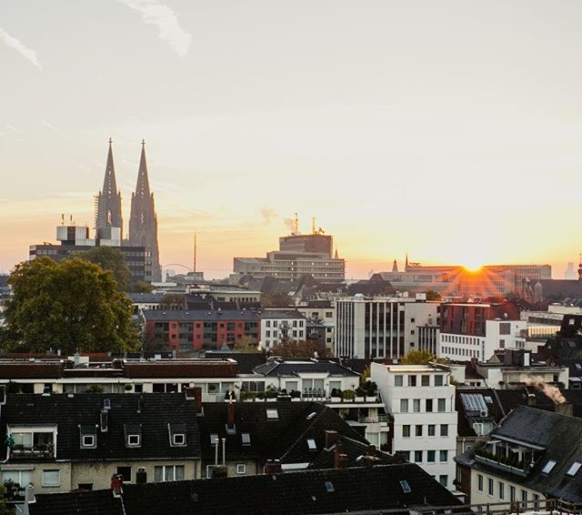 sou_veraen's tweet photo. Guten Morgen! Ach wie gerne hätte ich jetzt diesen Ausblick! Hab ein bisschen #blogstweh, wie immer nach einer BLOGST! Und Ihr so? #blogst18 #vernetztwachsen Danke an Sabine @held_am_herd für das schöne Bild von meinem Köln!
______
#köln #cologne #thisis… https://t.co/LgLA9VGMwE https://t.co/ds1C6xmG9s