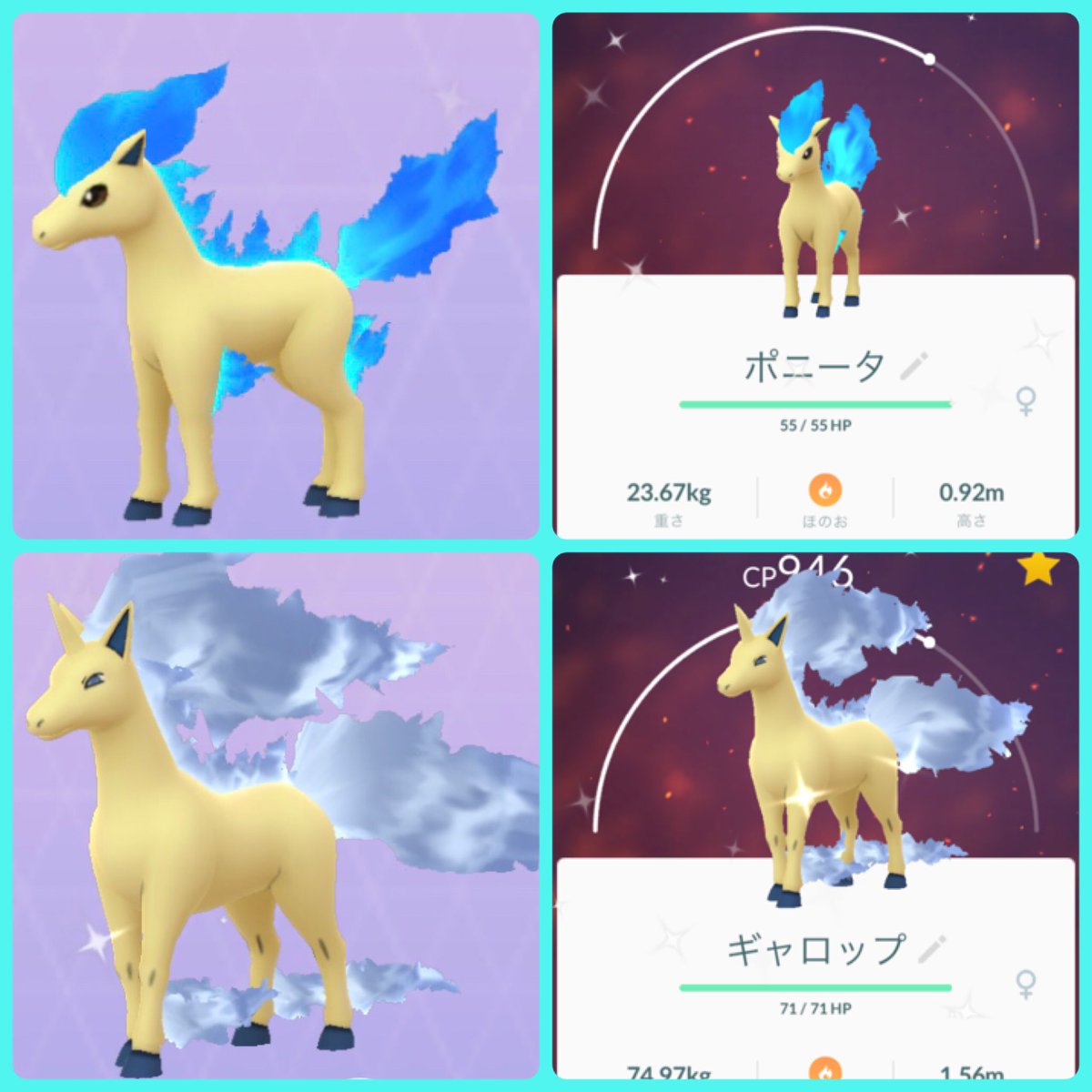 Poke ポニータ色違いも ギャロップに進化 青い炎が美しい ポケモンgo ポケモン