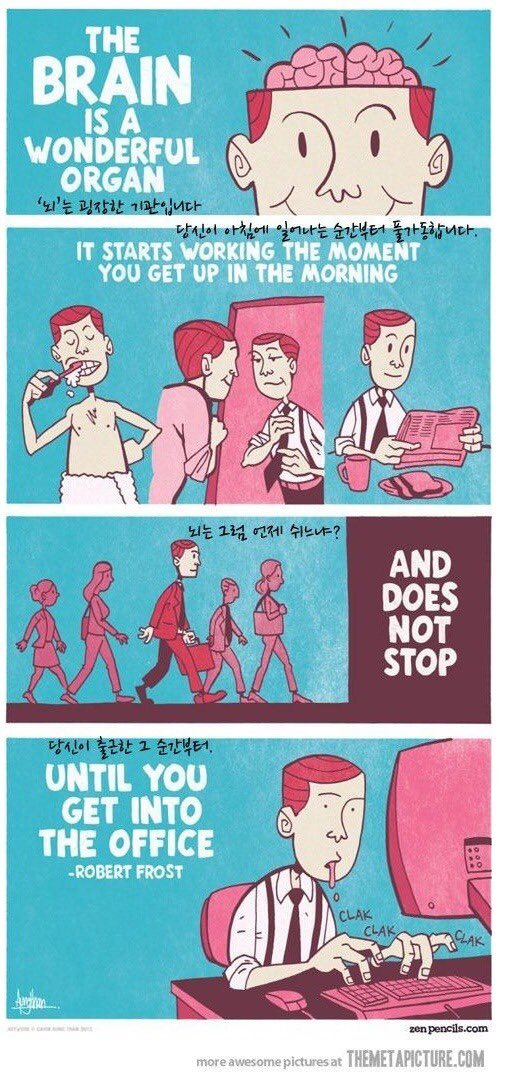 이성_봇 (@non_believe) on Twitter photo 