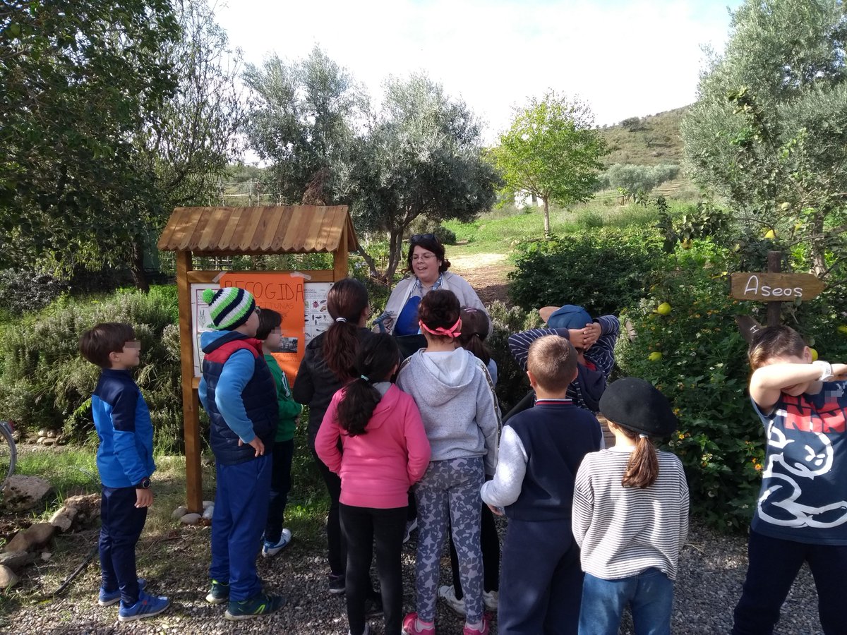 faeneras's tweet photo. Primer taller faeneras, Recogida y producción de aceite @faeneras
#Escuela #Aceite #Málaga #Colegiales #oficios #guadalhorce #granjaescuela #MLG https://t.co/fcMmPXiGLM