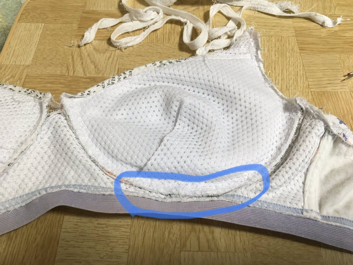 ブラジャー大解体 Togetter ブラジャー大解体 Togetter