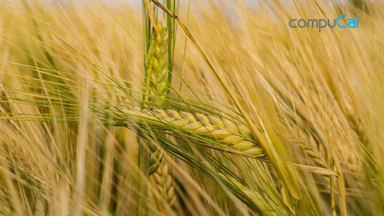 compuCal's tweet photo. According to latest researches, the climate change threatens the production of #beer. Find out how: https://t.co/q188L6V0Gq #beverage_industry #brewery #foodindustry https://t.co/VAtV5E38j1