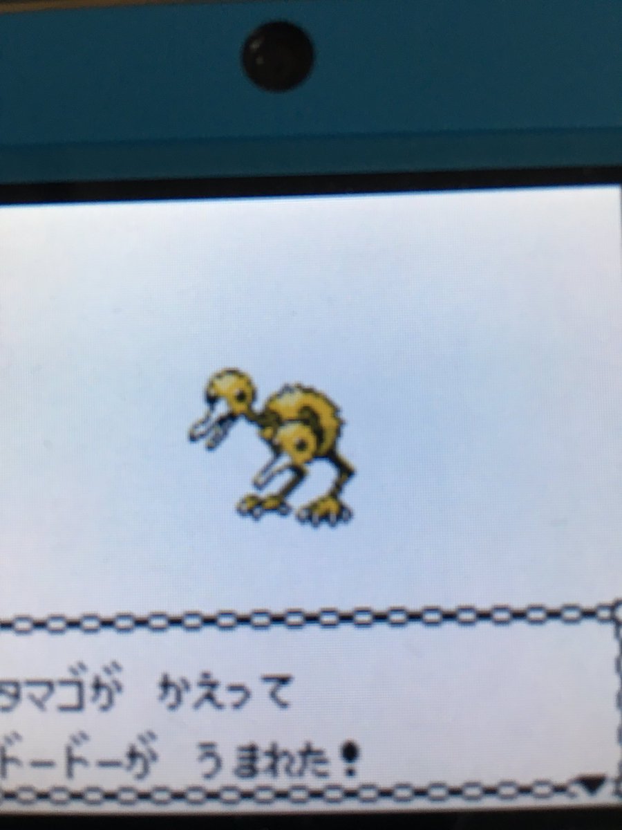 色違いポケモン紹介 Vc産ドードー 自由に生きてあそblog