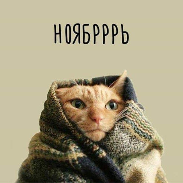 Картинки ноябрь прикольные
