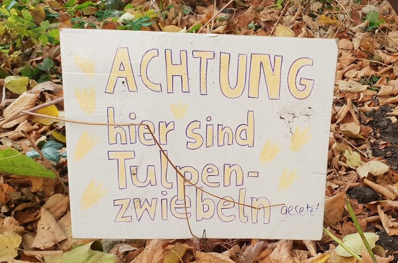 Jetzt Blumenzwiebeln pflanzen und Stelle merken😉 Warum es gut ist, wenn es dabei "drunter und drüber" geht, hört Ihr in der neuen Folge auf GartenRadio.fm ... #garten #Podcast