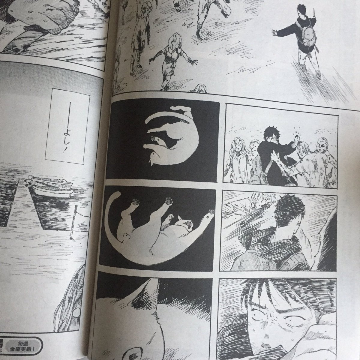 本日発売の漫画アクションにて「ウォーキング・キャット」11話が掲載されています。ジンとユキは「島」に渡れるのか?
よろしくお願いいたします! 