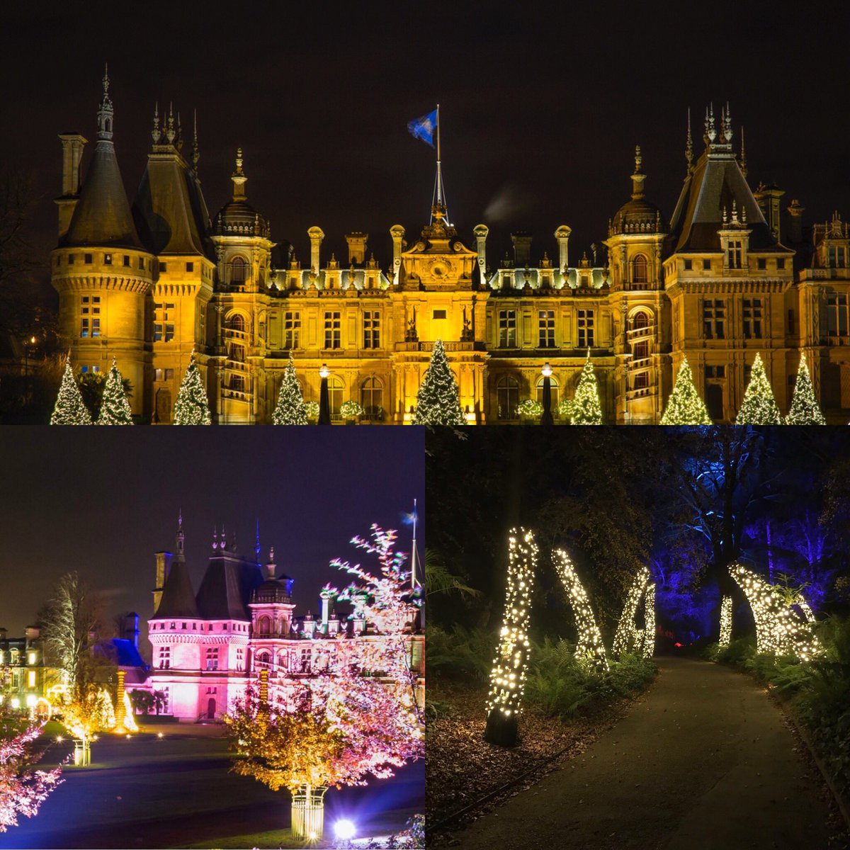 <a href="/WaddesdonManor/">Waddesdon</a> is magical at #Christmas #wmxmas Come and say hi between the 10th November to the 16th December and treat yourself to a #mulledwine or #baileyshotchocolate before exploring the light show and trail