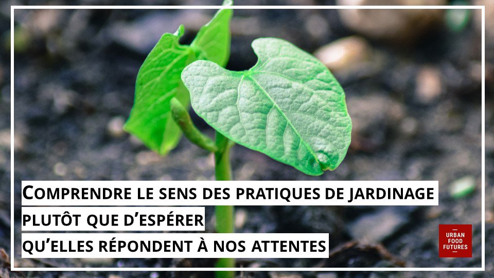 urbfoodfutures's tweet photo. Il est important de comprendre le sens des pratiques de jardinage plutôt que d’espérer qu’elles répondent à nos attentes. 
https://t.co/pbM49uWah4
#Projetalimentaireterritorial https://t.co/XT1n8qk0lE
