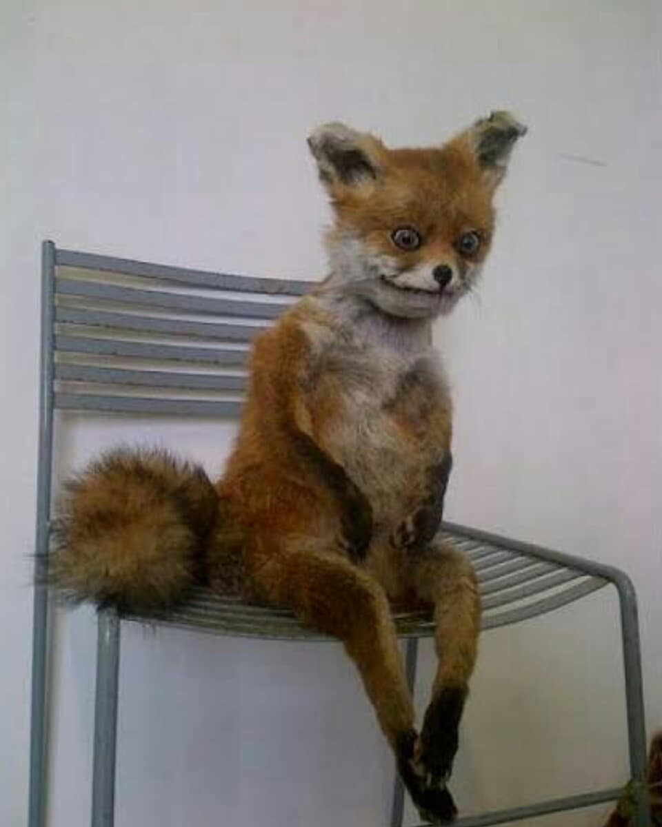 Paramore Mexico 🔆 tweet media