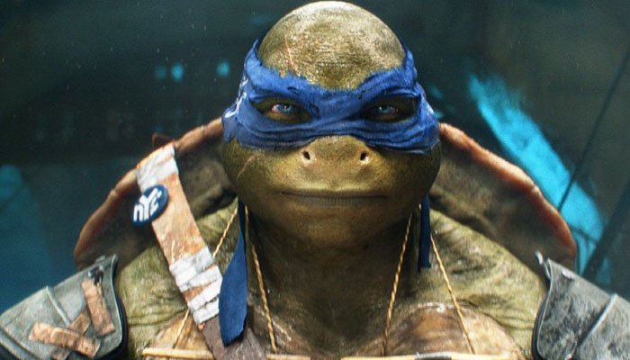 One of the oddest concepts for a children's #animated show in the 1980s was the Teenage Mutant Ninja Turtles. exjet.co.uk/blog/teenage-m…