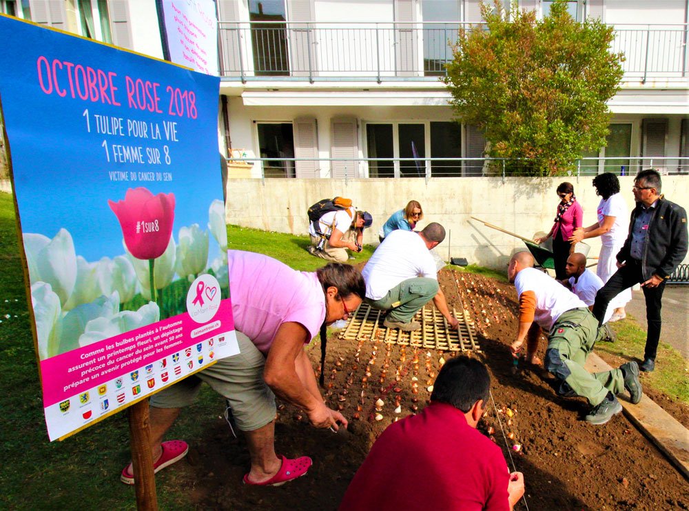Groupe 3R (@groupe3r) on Twitter photo A l'initiative de <a href="/laimantrose/">L'aiMant Rose</a> et sa campagne "1 tulipe pour la VIE", 22 communes vaudoises et valaisannes ont planté des milliers de bulbes de tulipes pour sensibiliser la population aux enjeux d'un dépistage plus précoce, avant 50 ans, du #cancer du sein bit.ly/2ySGU7q A l'initiative de <a href="/laimantrose/">L'aiMant Rose</a> et sa campagne "1 tulipe pour la VIE", 22 communes vaudoises et valaisannes ont planté des milliers de bulbes de tulipes pour sensibiliser la population aux enjeux d'un dépistage plus précoce, avant 50 ans, du #cancer du sein bit.ly/2ySGU7q