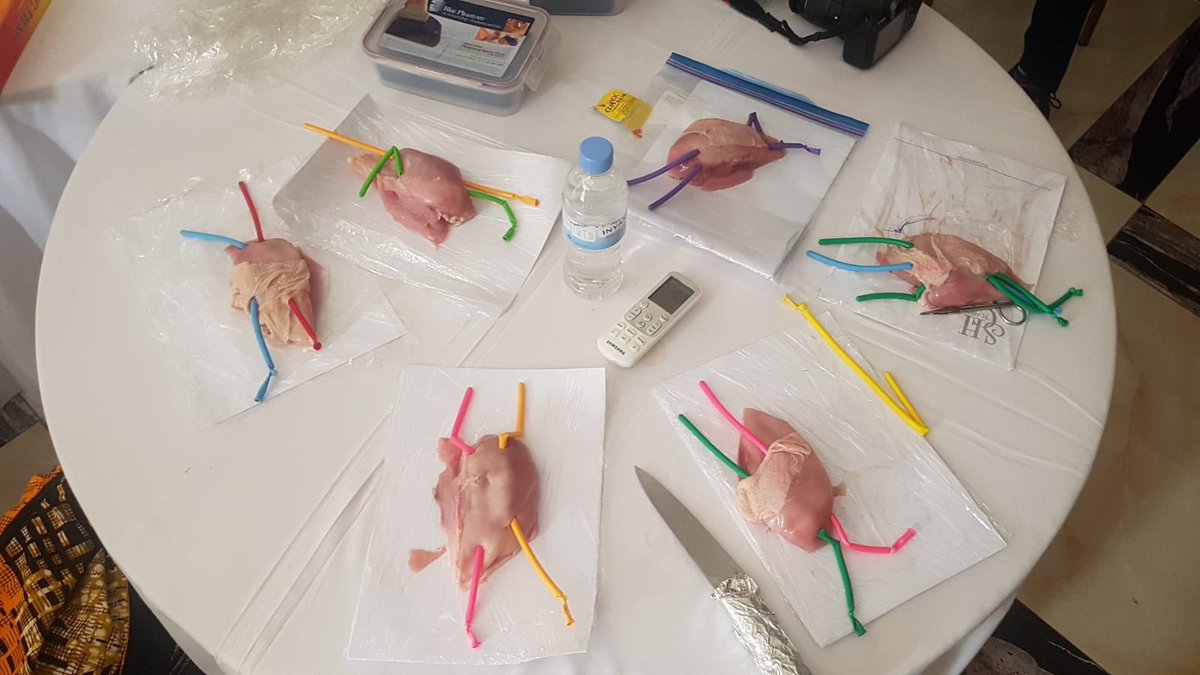 Low cost y easy simulator for Vascular Access <a href="/AfCEM2018/">AfCEM2018</a> #POCUS workshop