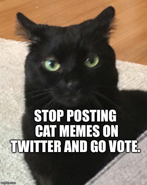 Storm The Castle tweet media