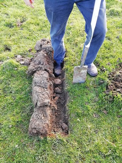 FarmersOfTheUK's tweet photo. A new project on the farm is trialing daffodil bulbs grown at altitude for an Alzheimer drug chemical #galanthamine.  Trials have shown that bulbs grown over 1000ft they have higher levels of the active chemical. https://t.co/ewwuNSsQcW