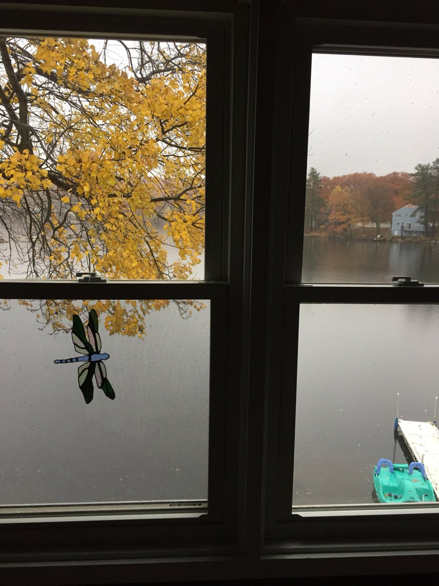 MrsBaldi2's tweet photo. Taking time to PAUSE and think about my one little word after peeking out my window. #OLW2018 #SOL2018 https://t.co/vBozcz31De https://t.co/K97xMwUEwL