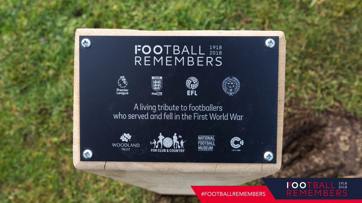burtonalbionfc's tweet image. 💛🖤 Burton Albion have planted an oak tree at the @PirelliStadium as part of the #ForClubAndCountry initiative with the @EFL, @WoodlandTrust and @FootballMuseum.

Read more here 👉 buff.ly/2ANJBIG

#FootballRemembers #BAFC