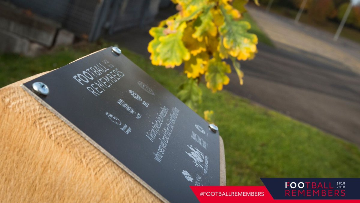 burtonalbionfc's tweet image. 💛🖤 Burton Albion have planted an oak tree at the @PirelliStadium as part of the #ForClubAndCountry initiative with the @EFL, @WoodlandTrust and @FootballMuseum.

Read more here 👉 buff.ly/2ANJBIG

#FootballRemembers #BAFC