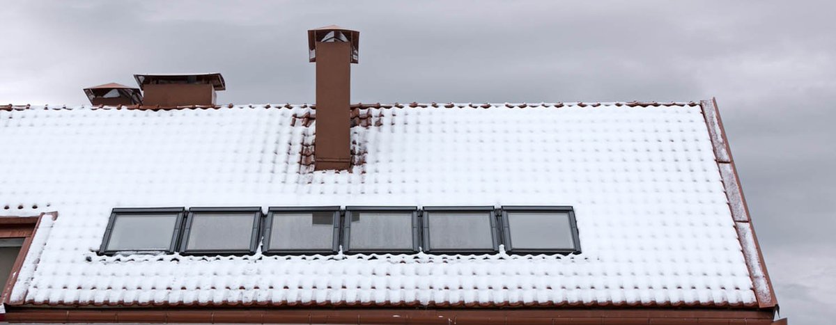 Anticimex tweet media