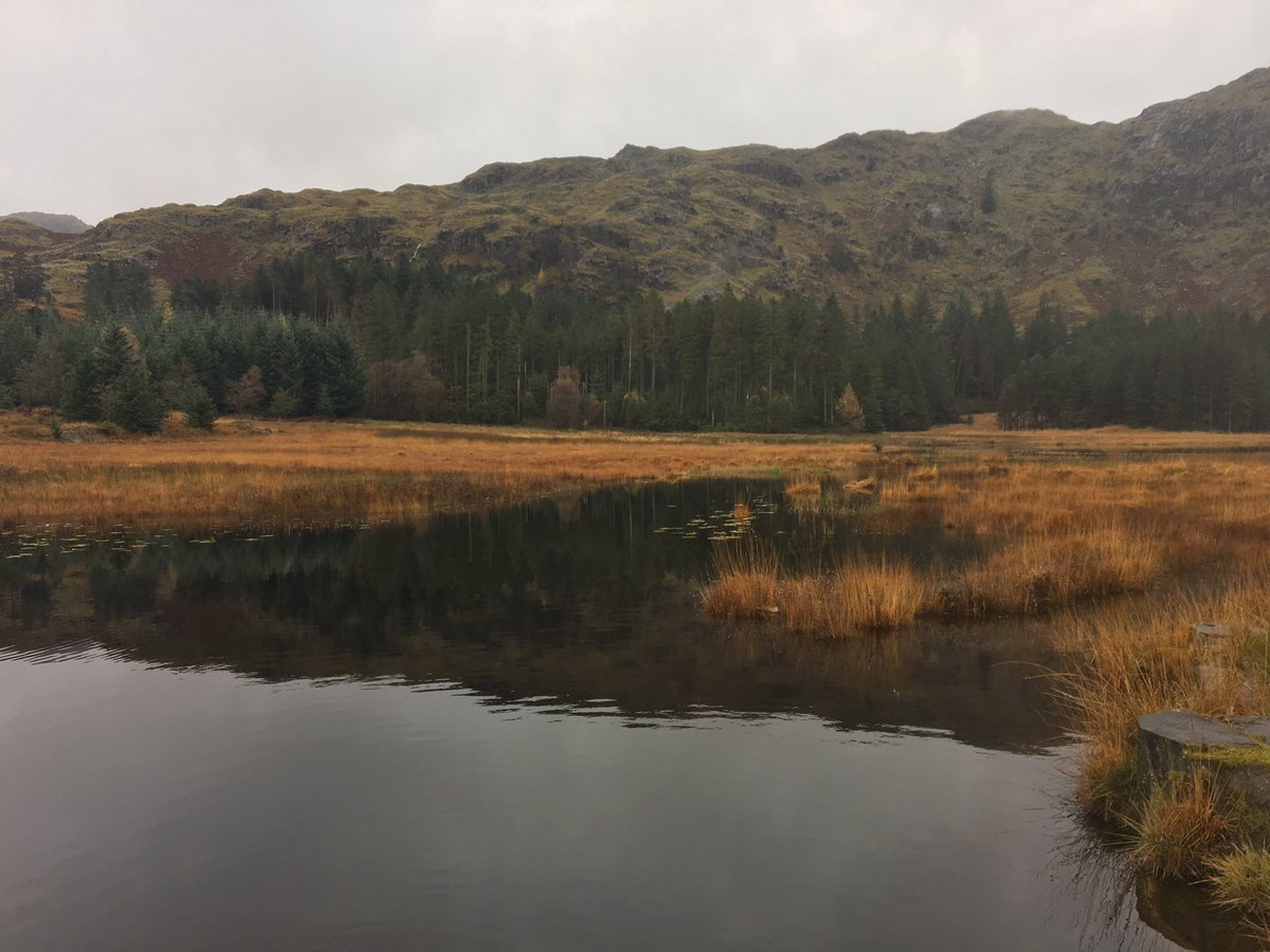 K9Rhett's tweet photo. Wet weekend in the lakes with one of the gang practicing some potholing https://t.co/uieTb0l0CD