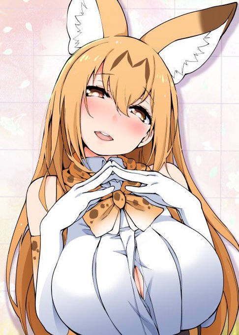 【売り子募集】
サークル名『殺必死天国』
コミケ一日目東地区A31b
ハヤシと申します
C95で『サーバル姉さん』コスプレ売り子募集しています!
ご興味がございましたらメールからお願いします!
wecomic2018@gmail.com
#売り子募集 #C95 #サーバル姉さん