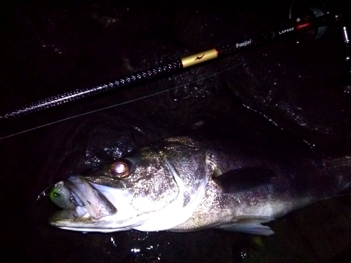 アバニシーバスpeスーパーセンシティブls8