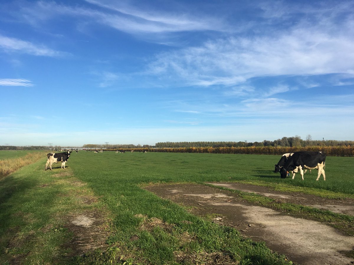 Uitzicht vandaag <a href="/FarmFlexNL/">FarmFlex </a> 🐮.  Even frisse lucht snuiven tussen het schrijven van rapporten door. #flexleven #ondernemen #studentparticipatie