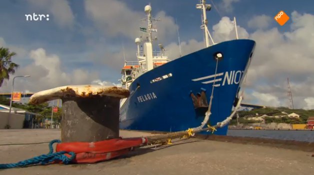 NICOexpedition tweet media