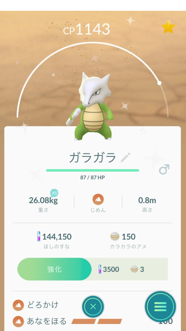 ポケモンgo アローラガラガラの色違いもゲット出来る ゲット報告 ポケモンgo攻略まとめ速報