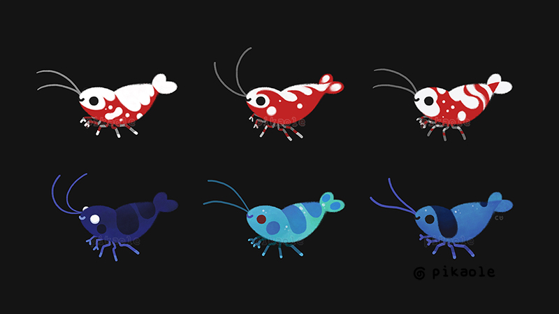 pikaole's tweet photo. Red and blue shrimp https://t.co/u07h4WSBkl