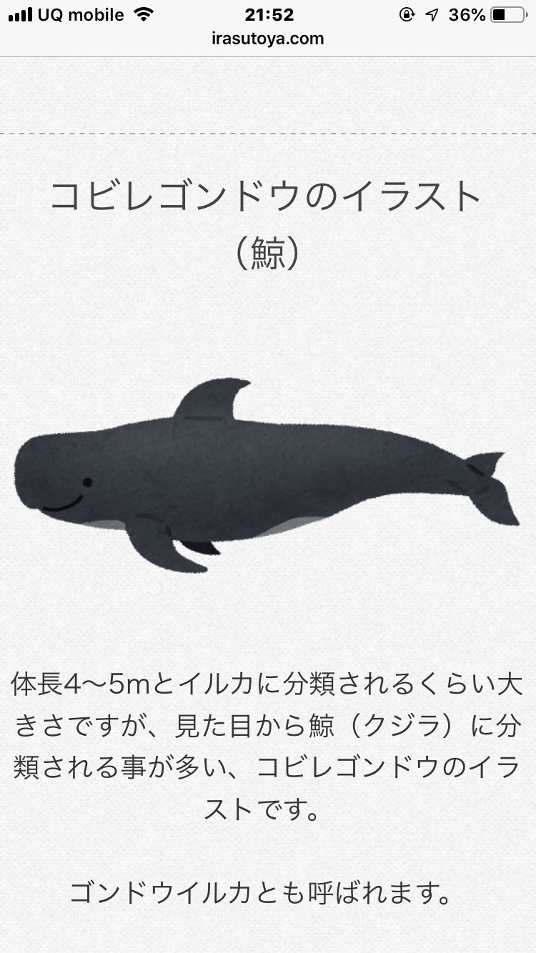 かるいるか No Twitter イルカ と検索するだけで18種類も出てくる いらすとや はすごい コビレゴンドウやショニサウルスのイラストまであるなんて いらすとや イルカ T Co Ghdddc00es Twitter