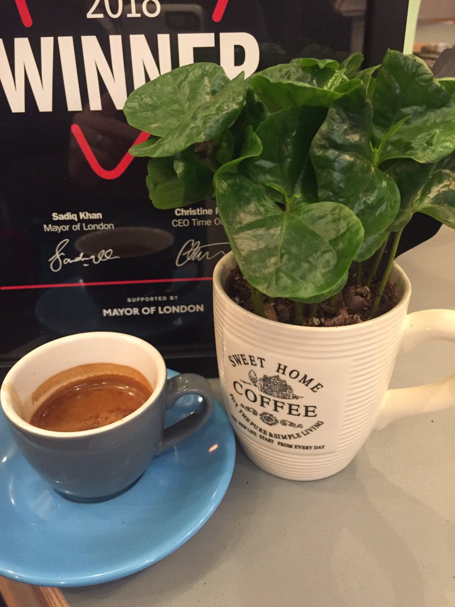 LeafyBeanCo's tweet photo. We bought a new plant for our bar, message us if you know what it is to win a prize π#butfirstcoffee #dogfriendly #northlondon #boundsgreen #leafybean #leafybeanco #fungames #coffee #looseleaftea https://t.co/MOGoVesNzd